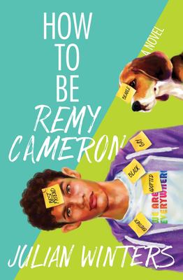 how to be remy cameron book cover