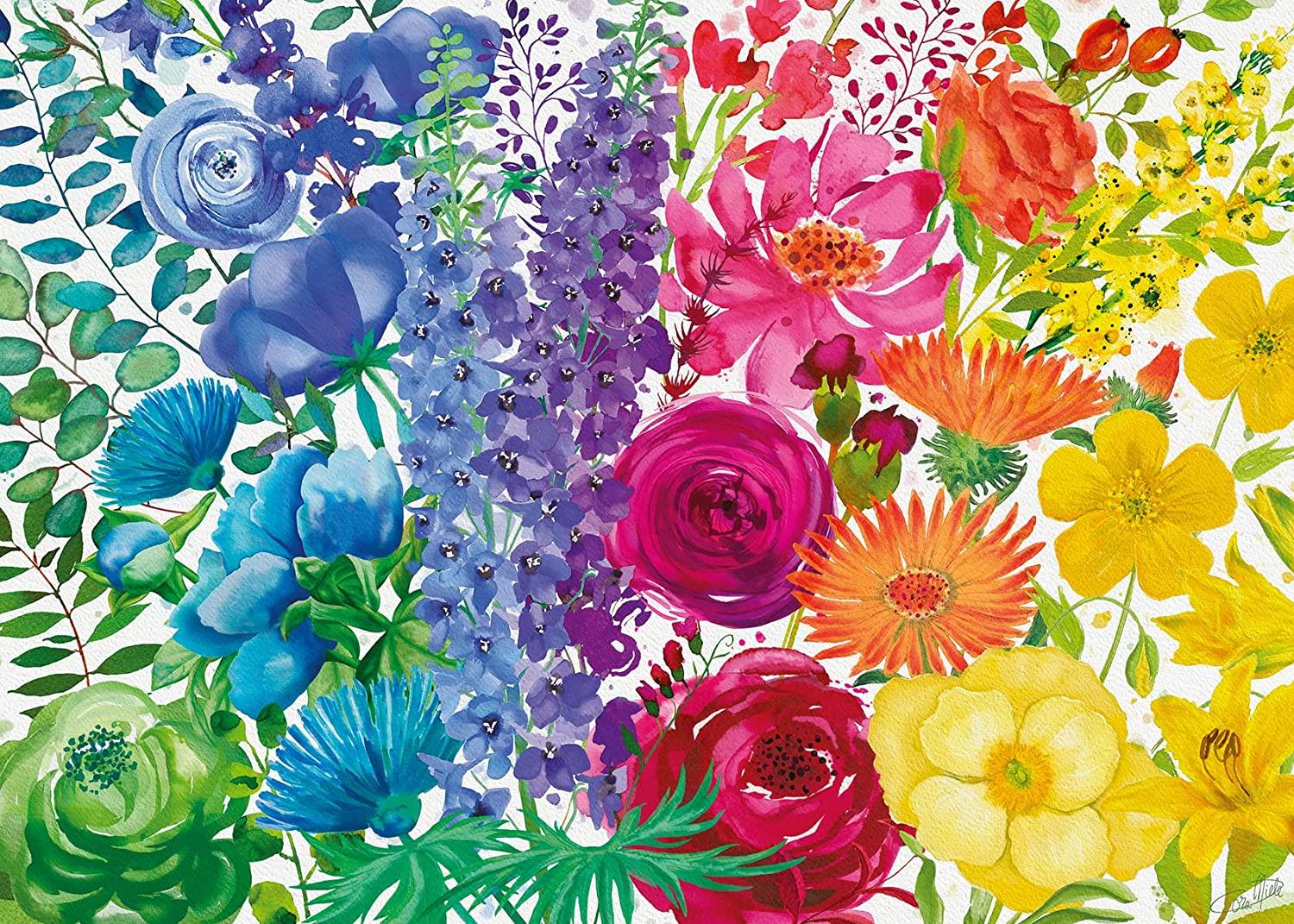 Spend a little time in the garden while staying comfy and cozy indoors puzzling this beautiful botanical illustration! Our "Floral Rainbow" includes stately blue delphinium, delicate pink cosmos, violet multilayered ranunculus and cheerful yellow cinquefoil.