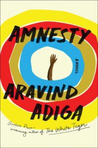 Amnesty book cover