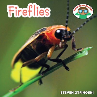 Fireflies book cover
