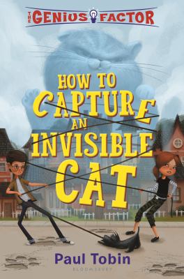 Cover image for How to capture an invisible cat
