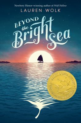 Cover image for Beyond the bright sea