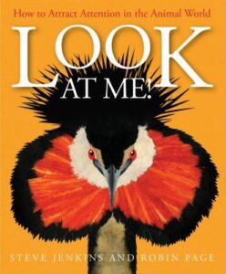 Look at Me: How to Attract Attention in the Animal World