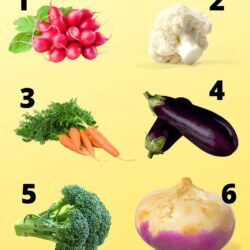 Name these vegetables.