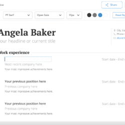 resume example