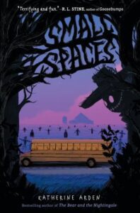 Small Spaces Book Cover