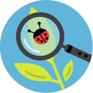 magnifying glass magnifying a ladybug