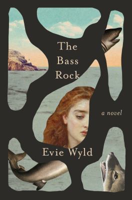 The Bass Rock book cover