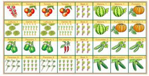 garden chart
