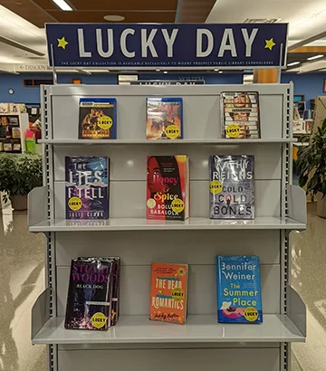 Lucky Day bookshelf