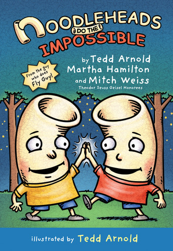 noodleheads do the impossible book cover