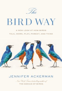 The Bird Way: A New Look at How Birds Talk, Work, Play, Parent, and Think book cover