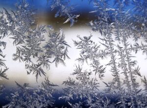 clear frozen snowflakes