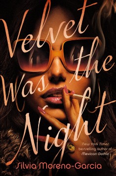 Velvet was the Night book cover