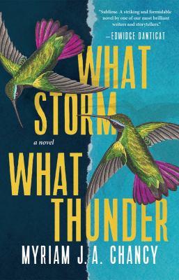 what storm what thunder book cover
