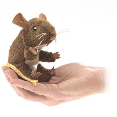 A photo of Mini field mouse