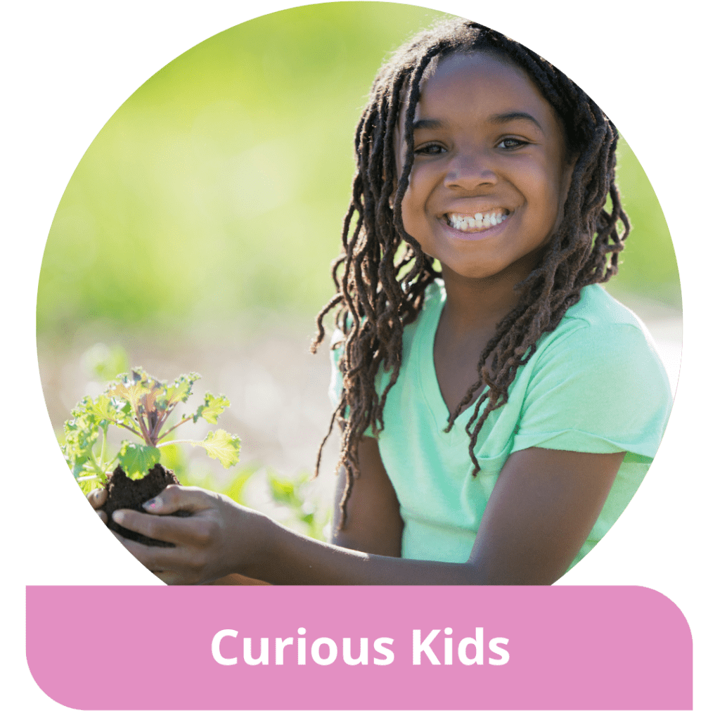 A smiling girl holds a lettuce planting in her hands. Text reads: Curious Kids.