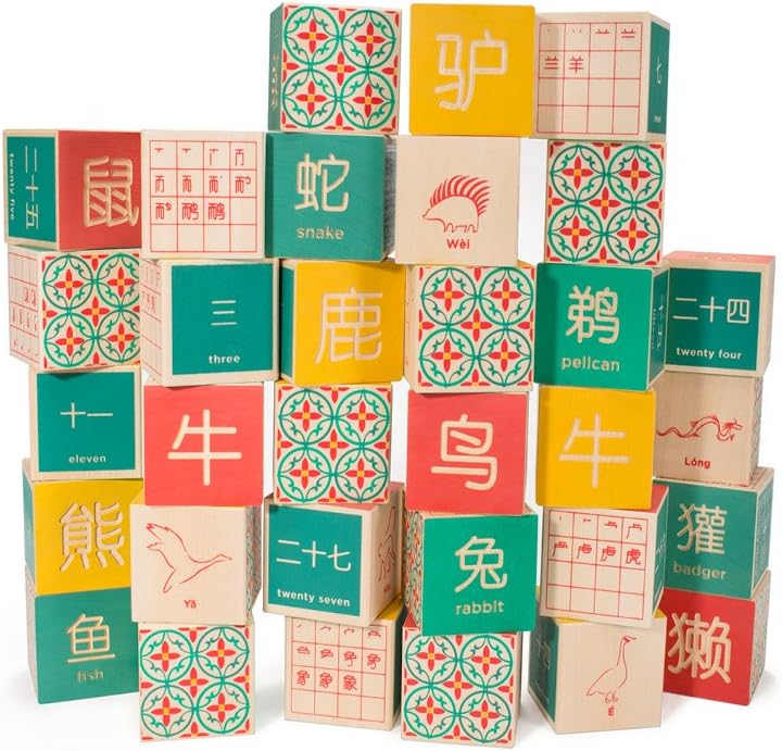 Multi-language Alphabet Blocks 